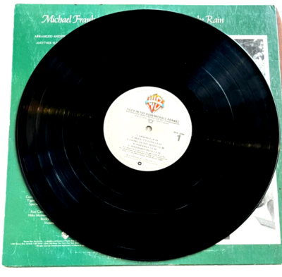 MICHAEL FRANKS - Tiger In The Rain - Warner Bros Records BSK 3294