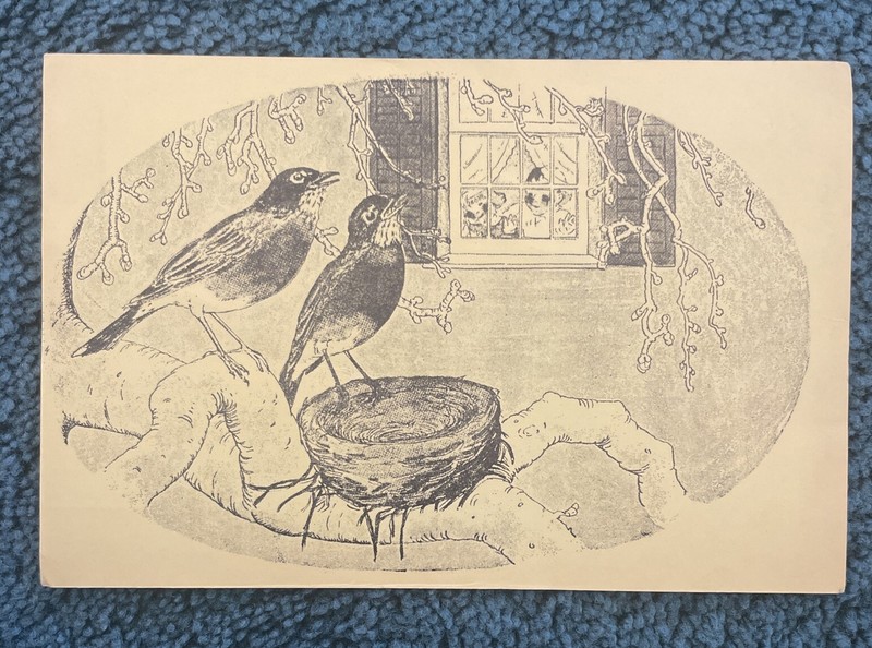 Unique Postcard with Drawing of Birds At Nest From A Window