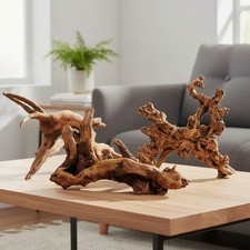3 Unique Pieces of Natural Driftwood 9''-15'' for Aquarium  Terrarium Decor