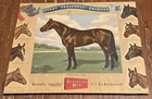 Vintage Griesedieck Bros. Beer Cardboard Sign Horse Triple Crown Winners As Is