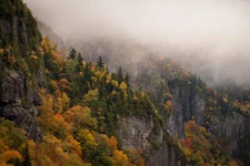 Landscape fall mist trees nature Custom Gaming Mat Desk