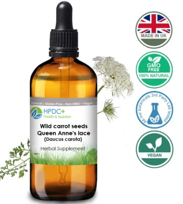 HPDC+ Wild carrot seed / Queen Anne's lace (Daucus carota) extract / tincture dry seed