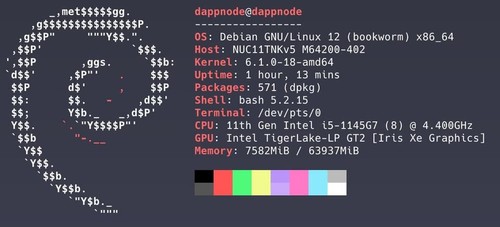 Asus NUC mini pc Intel i5 11th gen 64GB RAM ddr4 4TB Nvme - Dappnode Gnosis chai - Picture 3 of 3