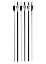 Carbon-Hybrid-Pfeile Set, 6 tlg. Metallspitze