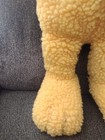Bild 5 von 22