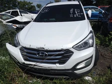 Driver Left Front Door LWB Fits 13-19 SANTA FE 1643982