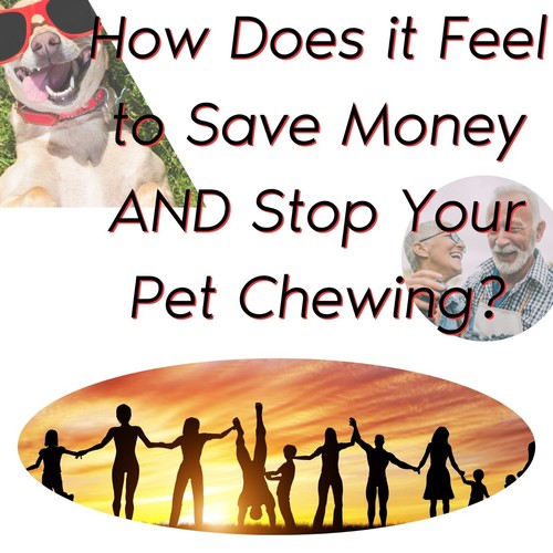 Zone Protects Don't Chew Dare; disuasivo para masticar mascotas; spray gatillo 8 oz - Imagen 2 de 6