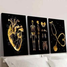 3pcs  Golden Decorative Paintings with StethoscopeWall Art Canvas Framed 50x70cm