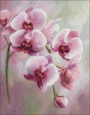Graceful Orchids 2 - Counted Cross Stitch Kits Needlework Embroidery DIY