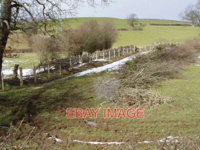 PHOTO  HEDGE LAYING NEWLY LAID HEDGE NEAR GLAN YR AFON  MEIRIONNYDD 2006