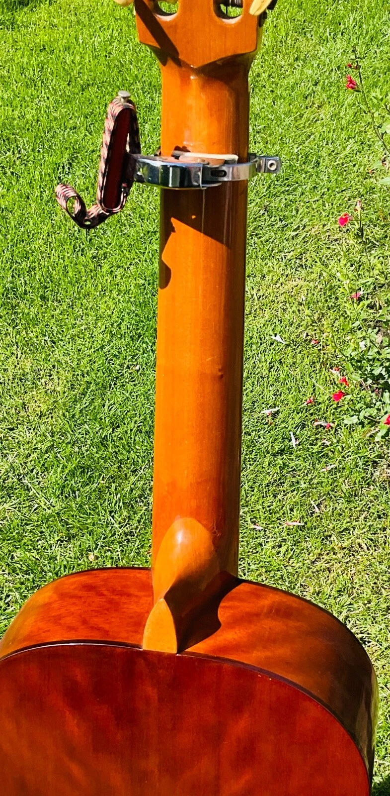 Picture 5 of 13
