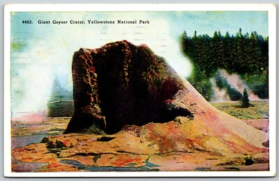 #ad c1932 Giant Geyser Crater Yellowstone National Park VINTAGE Postcard 3006 $7.99