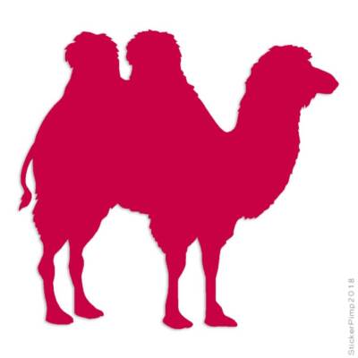 Bactrian Camel Humps, Vinyl Decal Sticker, Multiple Colors & Sizes #2825
