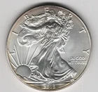 2013 WALKING LIBERTY AMERICAN EAGLE .999 FINE SILVER DOLLAR COIN 1oz. $1 USA