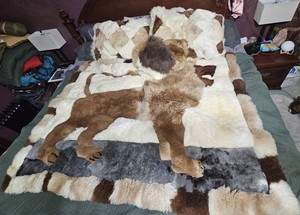 Peru Alpaca Fur Bedding. Includes Lion Cover, 3 Throw Pillows, 2 Shams.$1300 OBO