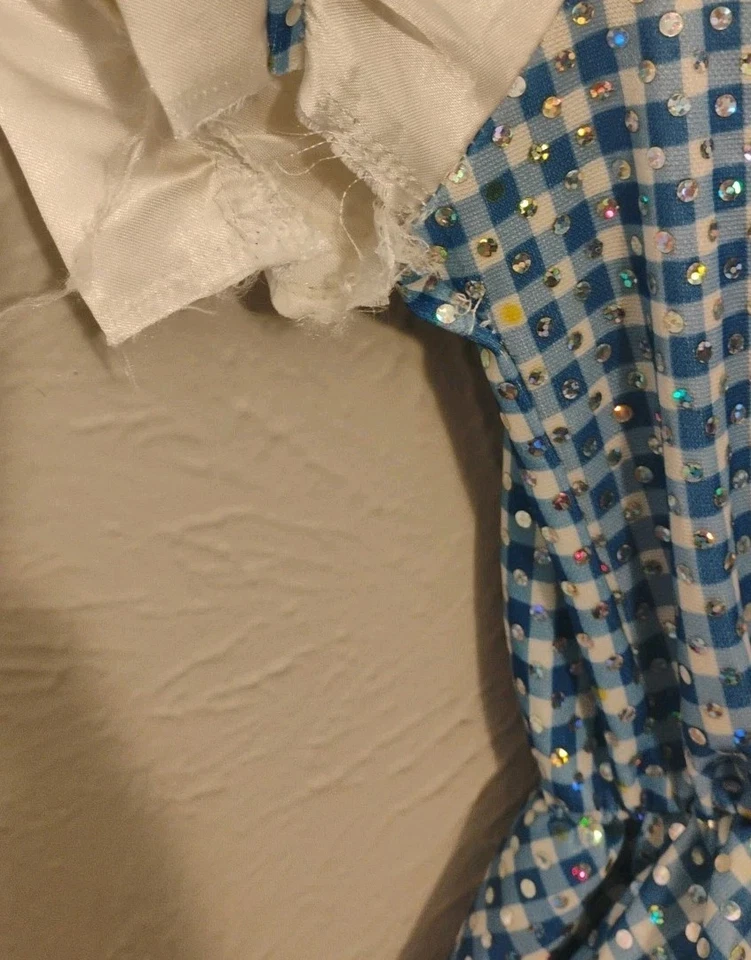 Vestido Disfraz Rubíes Dorothy Mago de Oz Niñas Talla Mediana Corte Axilas Foto 3 de 4