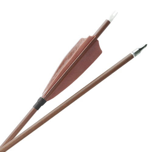 SP340-600 Pure Carbonpfeile Naturfedern 31 Zoll Jagdpfeilspitzen Bogenschießen - Picture 11 of 17