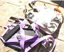 Windsurfing Harnesses