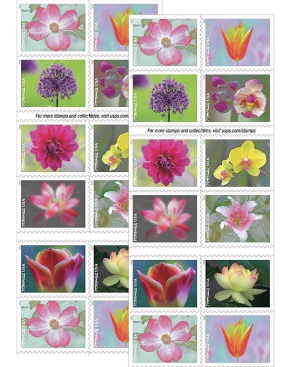 GARDEN BEAUTY  1st Class Stamps. 20/booklet