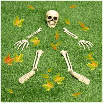 9-teiliges Knochenset - Halloween Deko - menschliches Teil-Skelett