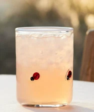 NEW Anthropologie Cute Bug LADYBUG Icon Juice Drinking Glass 17oz