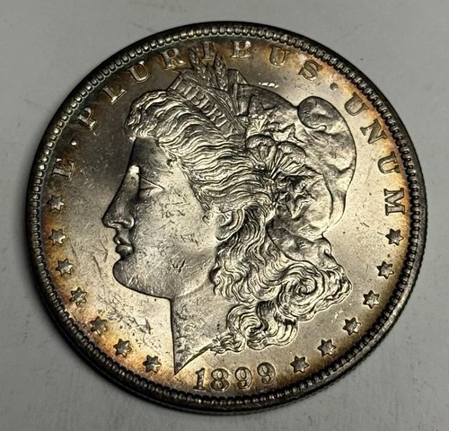 Toned BU 1899-O Morgan Silver Dollar (All Original), U.S. $1 Coin MS