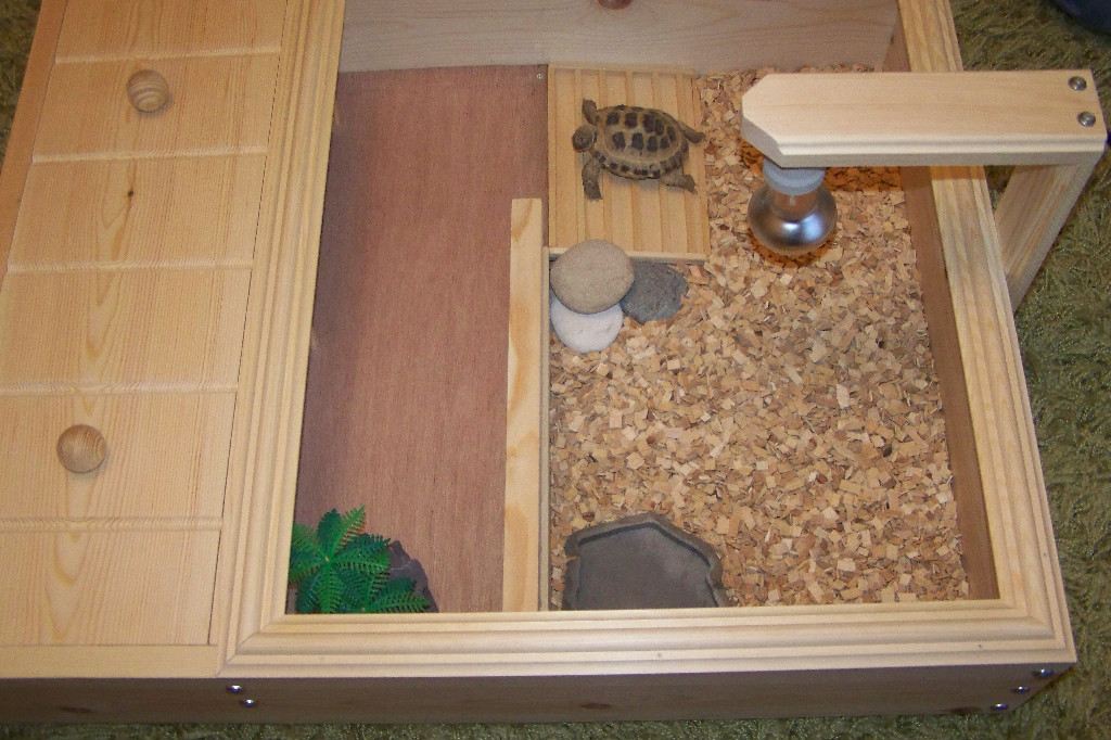 Picture 7 of 10