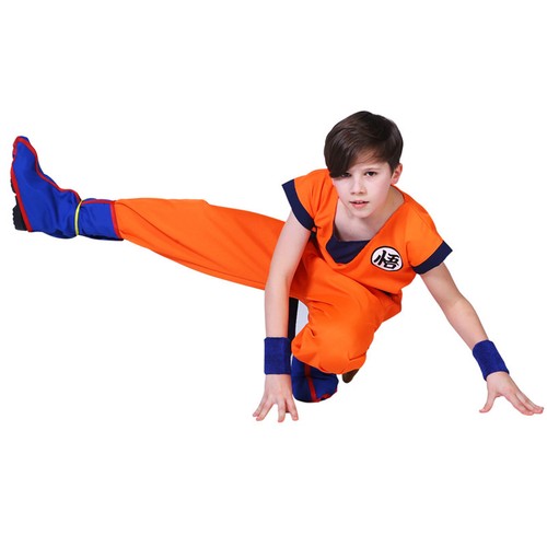Boys Dragon Ball Z Goku Costume Dress Outfit Kids Cosplay Halloween Fancy Party - Picture 8 of 17
