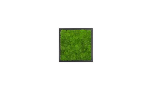 Wandbilder Wave Design Moosbild Wandbild Wand Moos Bilder Oster Dekoration - Bild 8 von 39
