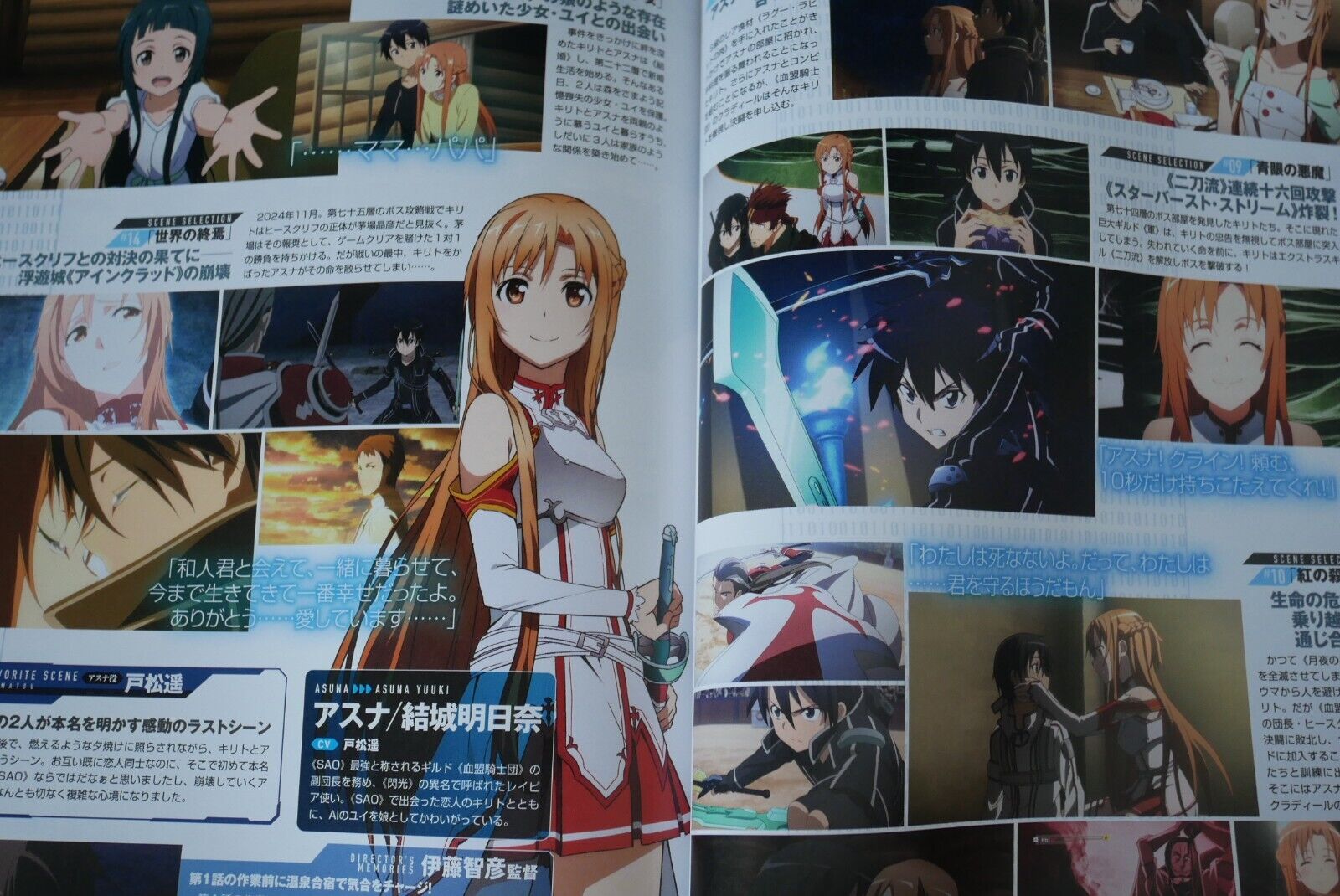 Sword Art Online Animation 10th Anniversary Book, JAPAN