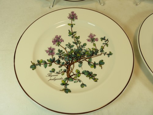 4 piatti insalata Botanica Thymus Villeroy Boch 8 1/4 pollici Germania viola senza radici - Foto 2 di 7