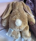 Build-A-Bear 2021 Easter Bunny 16” in tan & pink — photo 2