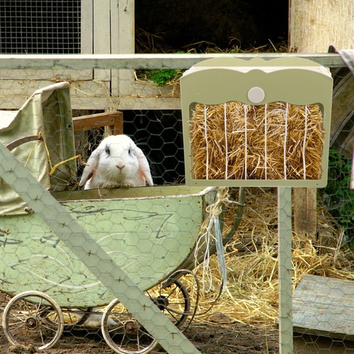 Hanging Hay Feeder Rabbit Cage Accessory Pet Supply Holder for Guinea Pig - Picture 12 of 12