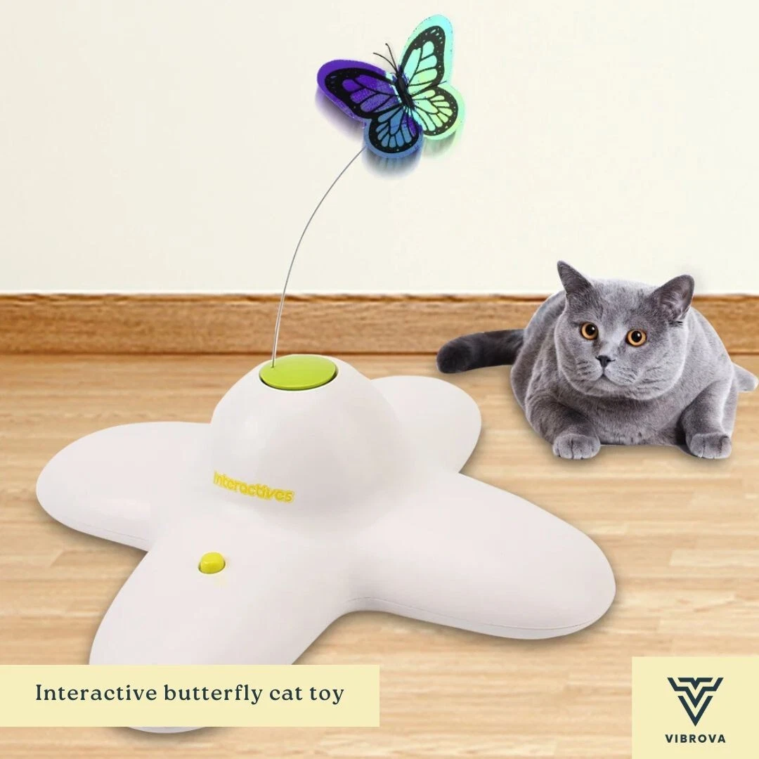 Interactive Butterfly Cat Toys - Auto Butterfly Cat Teaser - Cat Exercise Teaser
Opens in a new wind
