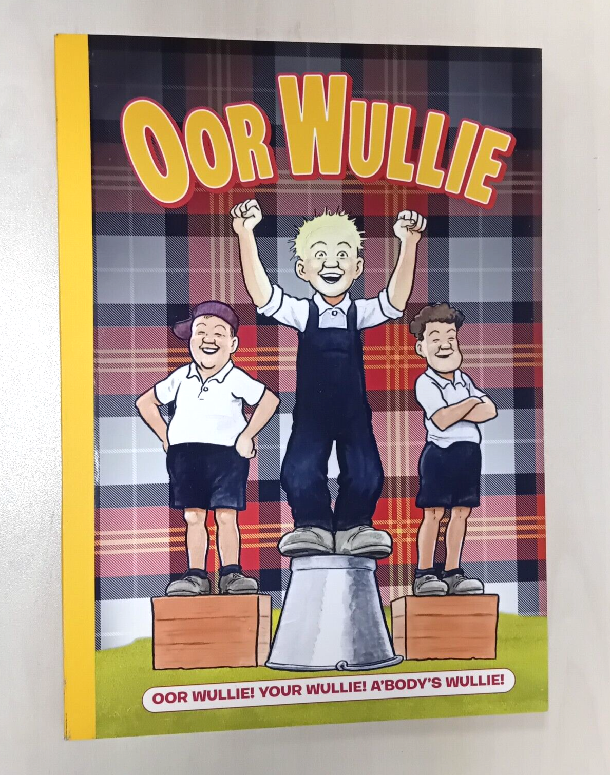 Oor Wullie Annual 2013  (Paperback book, 2012)