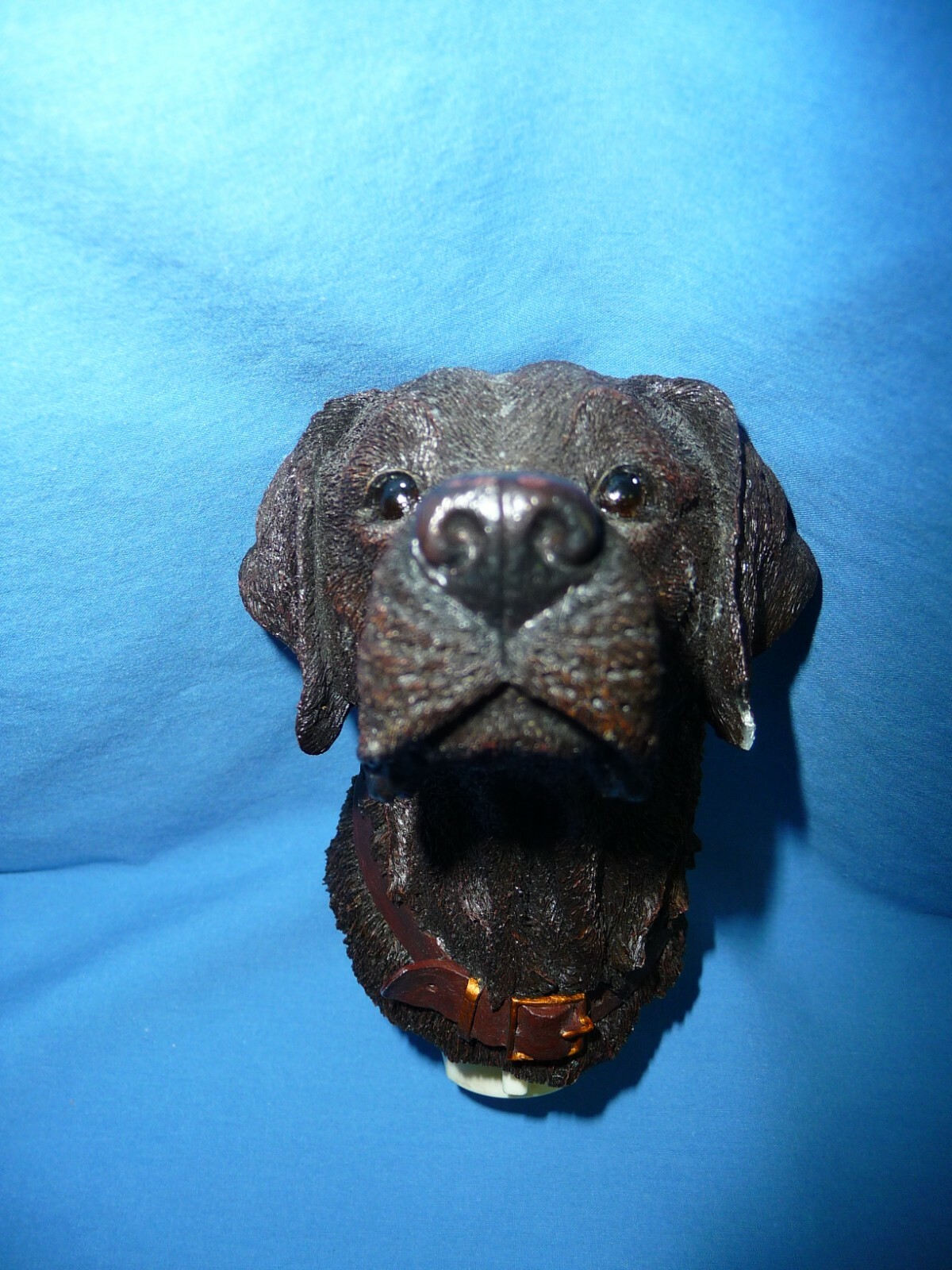 labrador night light