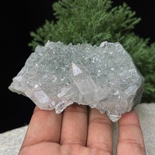 CrystalCluster GreenChlorite HimalayanQuartz HighHealing forEnergy 0.68lbs