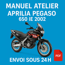 Manuel Atelier Aprilia Pegaso 650 IE 2002 Revue Technique Moto RMT CD PDF