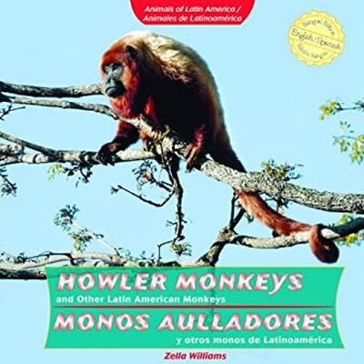 Howler Monkeys and Other Latin America Monkeys : Monos Aulladores