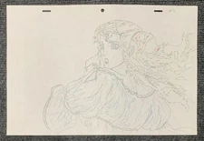 Vampire Hunter D cell art original drawing 6