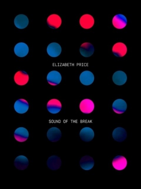 SOUND OF THE BREAK by Elizabeth Price (Paperback Book)
