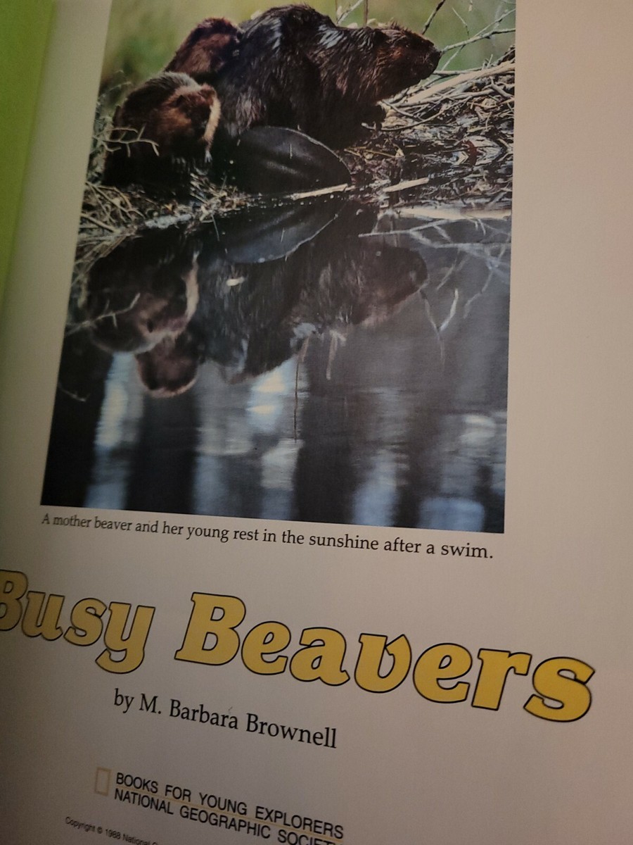 BUSY Beavers Books for Young Explorers Barbara Brownell HC EUC EX