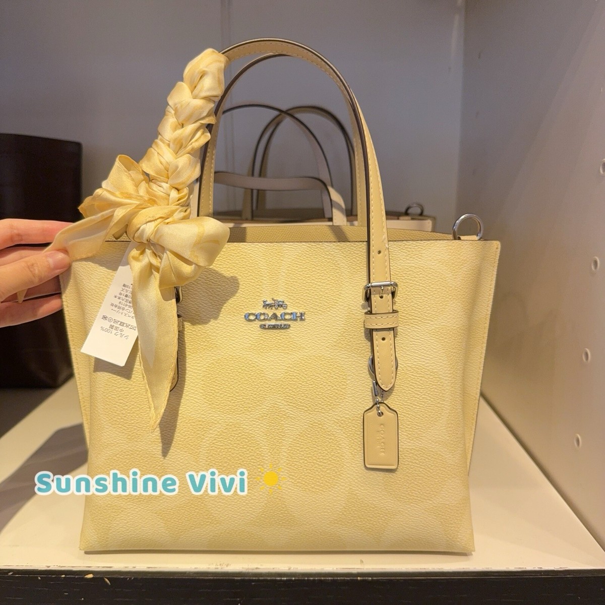 NWT Coach Bundle Mollie Tote Bag 25 CAL50 Hay & CAP50 Silk