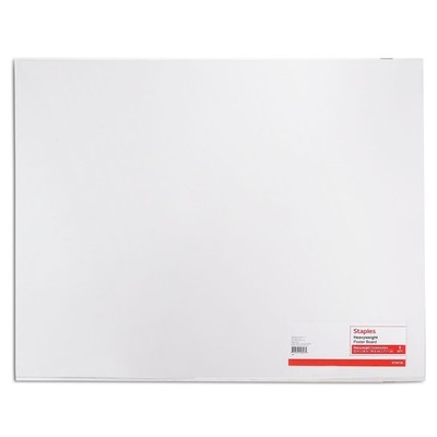 Staples Poster Boards 10-Pack White 22'' x 28'' (MMK04500S) 28126-US