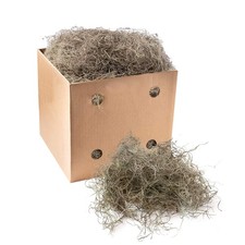 Royal Imports Preserved Natural Spanish Moss, Fresh Dried Shredded Loose Chun...