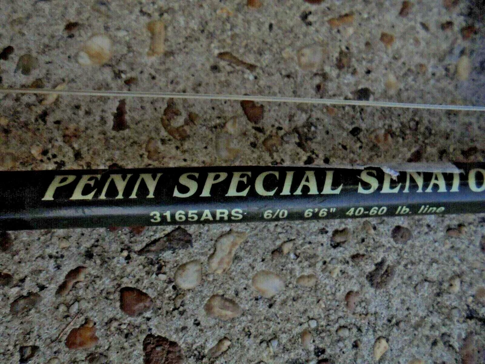 Penn Special Senator 复古 6/0 钓鱼竿 3165 ARW 6.6' 40-60(带卷轴) — 第 2/4 张图片