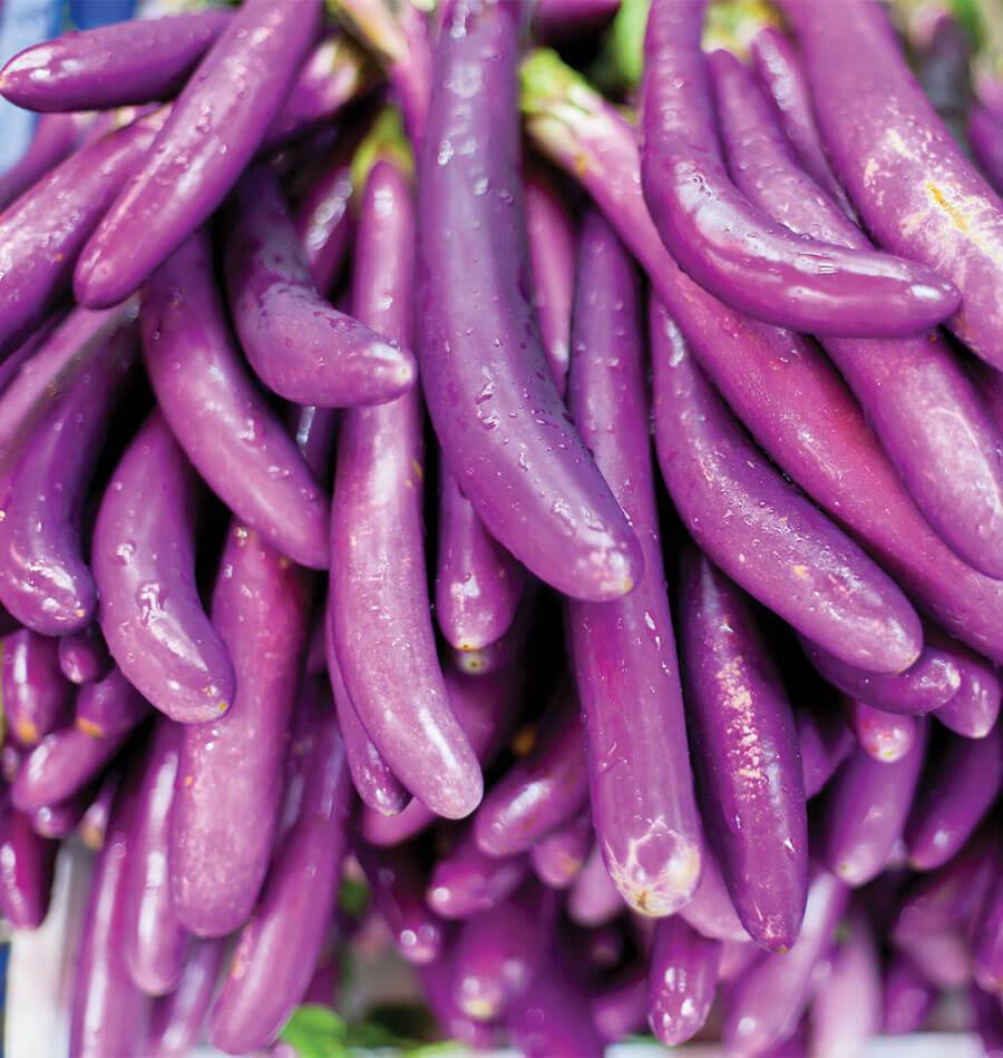 ★87MM★ Mmlg SUMMER TIME HFT EGGPLANT EGGPLANT 'Ping Tung' 15+ Seeds ASIAN VEGETABLE garden