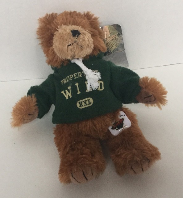 Minnesota WILD TEDDY BEAR Good Stuff Plush Stuffed Animal 10â green hoodie new | eBay