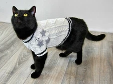 Hand Knitted Cat Sweater "Folklore", Taylor Swift Inspired Cat Cable Cardigan