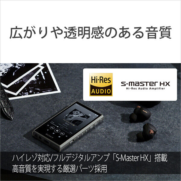Sony walkman NW-A307 A series memory type Grey Black Blue 64GB Music Audio Play